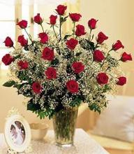 24 Vased roses