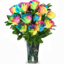 Rainbow Roses Dozen Vased