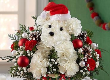 Santa Dog