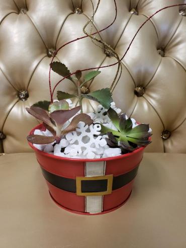 Santa Succulent Pot