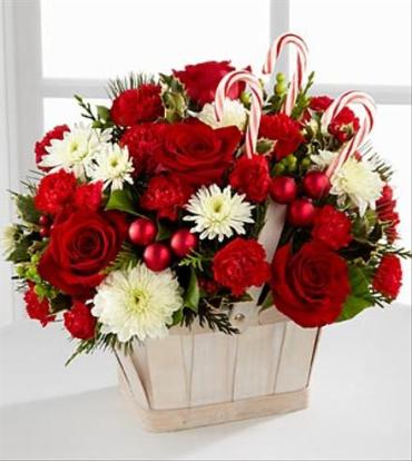 Red and White winter basket