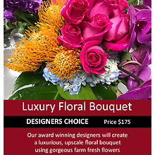 LUX Designer\'s Choice $175
