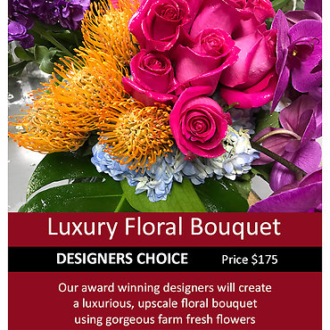 LUX Designer\'s Choice $175
