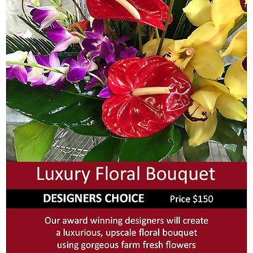 LUX DESIGNER\'S Choice $150