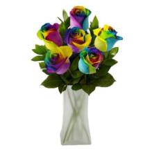 6 Rainbow Roses in Vase