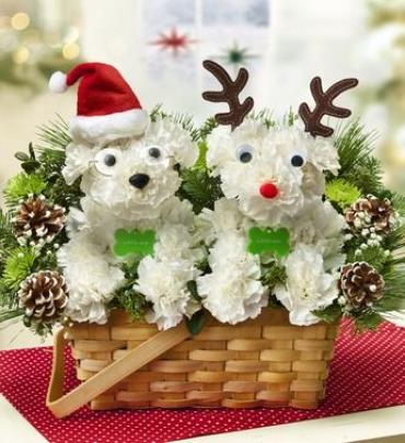 Santa and Reindeer Dogs