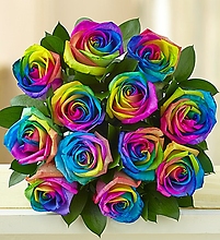Rainbow Roses 12 Wrapped