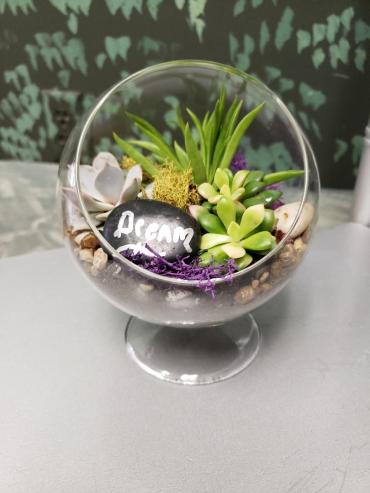 Glass globe sitting Succulent March 3